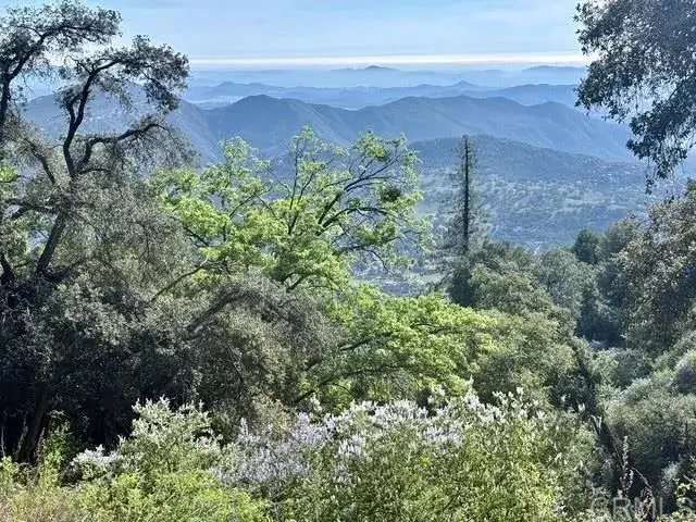 32900 South Grade, Palomar Mountain, CA 92060 - #3