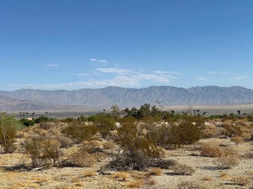 0 Roadrunner, Borrego Springs, CA 92004 - #1