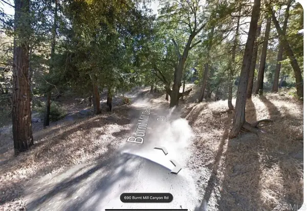 0 Burnt Creek Canyon, Cedarpines Park, CA 92322