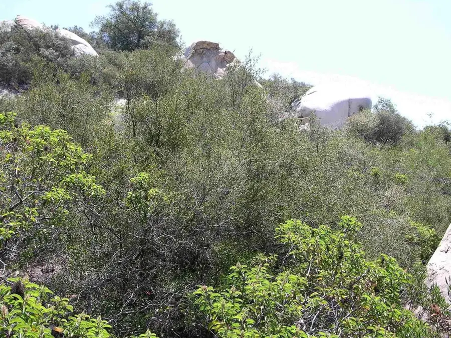 Welcome View, Escondido, CA 92026 - #3