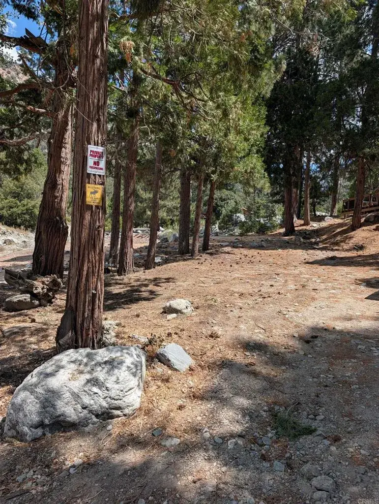 0 Island Dr, Forest Falls, CA 92339 - #1
