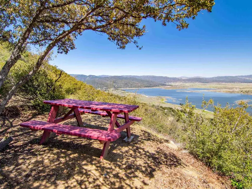 17 Bobcat Trail, Santa Ysabel, CA 92070 - #1