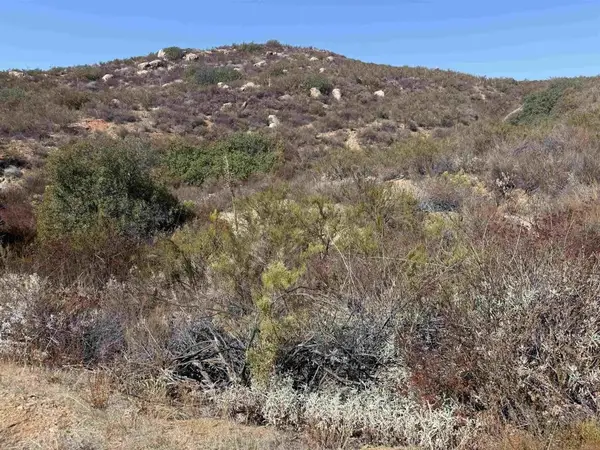 Japatul Rd, Alpine, CA 91901