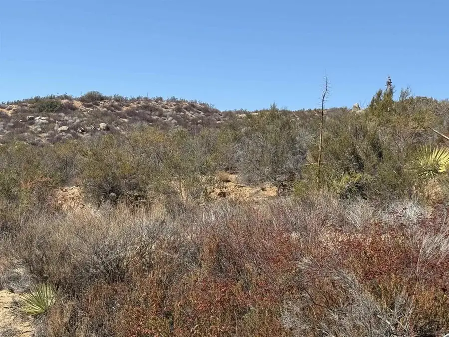 Japatul Rd, Alpine, CA 91901 - #2