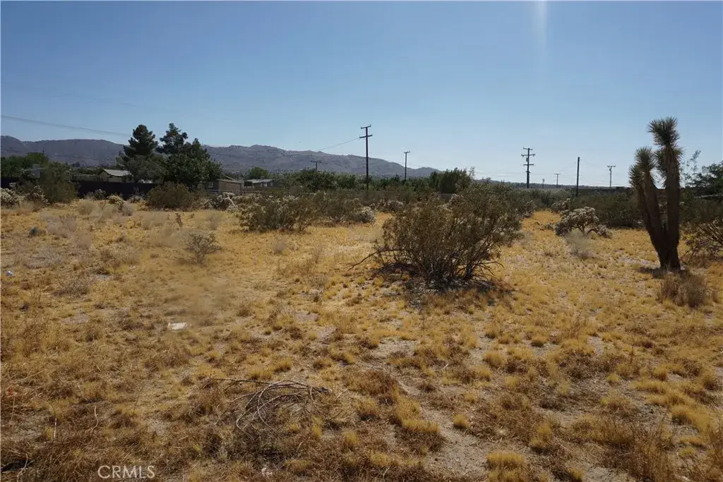 6101 Scenic, Joshua Tree, CA 92252 - #1