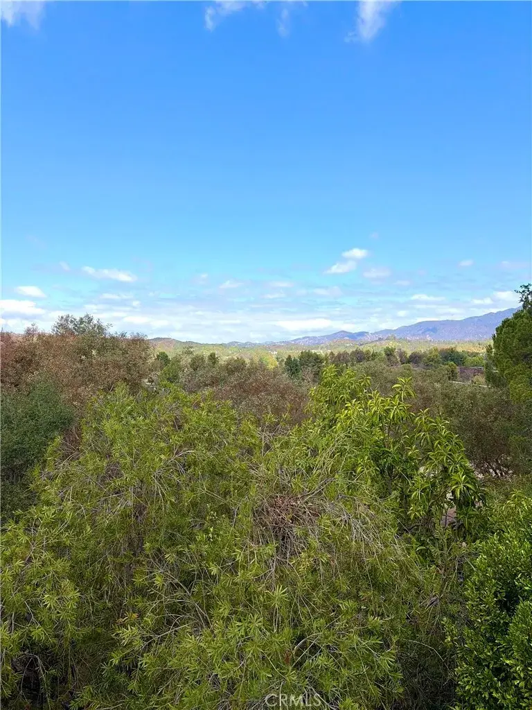 31801 Via Pato, Coto De Caza, CA 92679 - #2