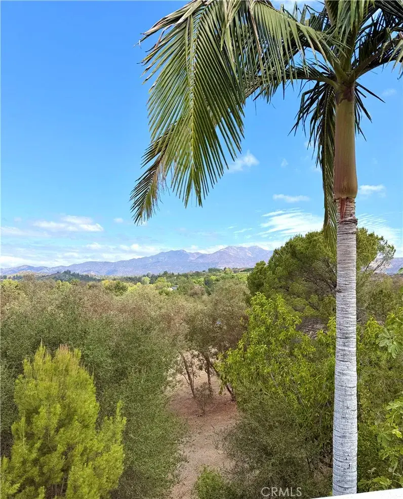 31801 Via Pato, Coto De Caza, CA 92679 - #3