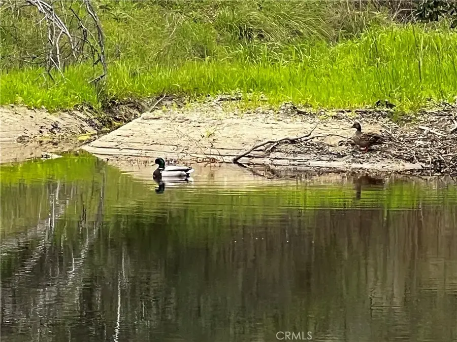 76340 Bryson Hesperia, Bradley, CA 93426 - Image #3