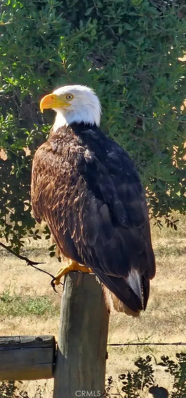 0 Interlake, Bradley, CA 93426 - Image #3