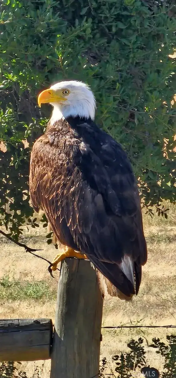 1 Interlake, Bradley, CA 93426 - Image #3