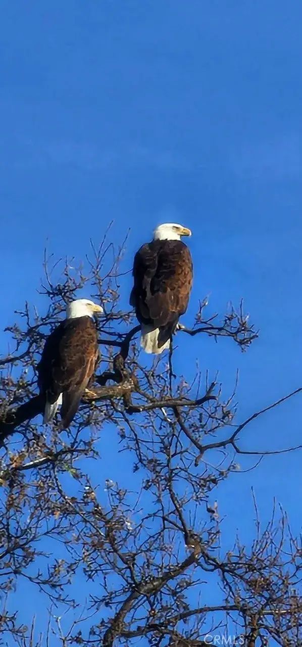 2 Interlake, Bradley, CA 93426 - #2