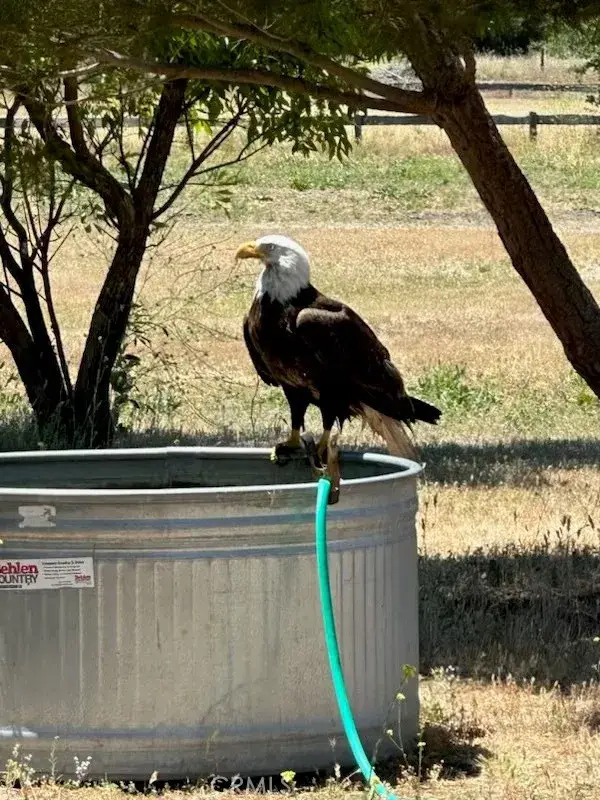 2 Interlake, Bradley, CA 93426 - #3