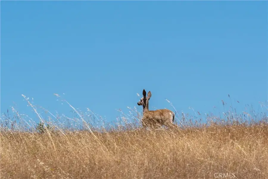 4335 Highway 41 East, Paso Robles, CA 93446 - Image #3