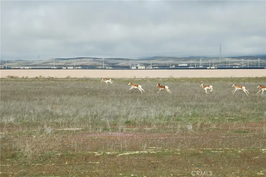 0 Arrow Bear, California Valley, CA 93453 - Image #1