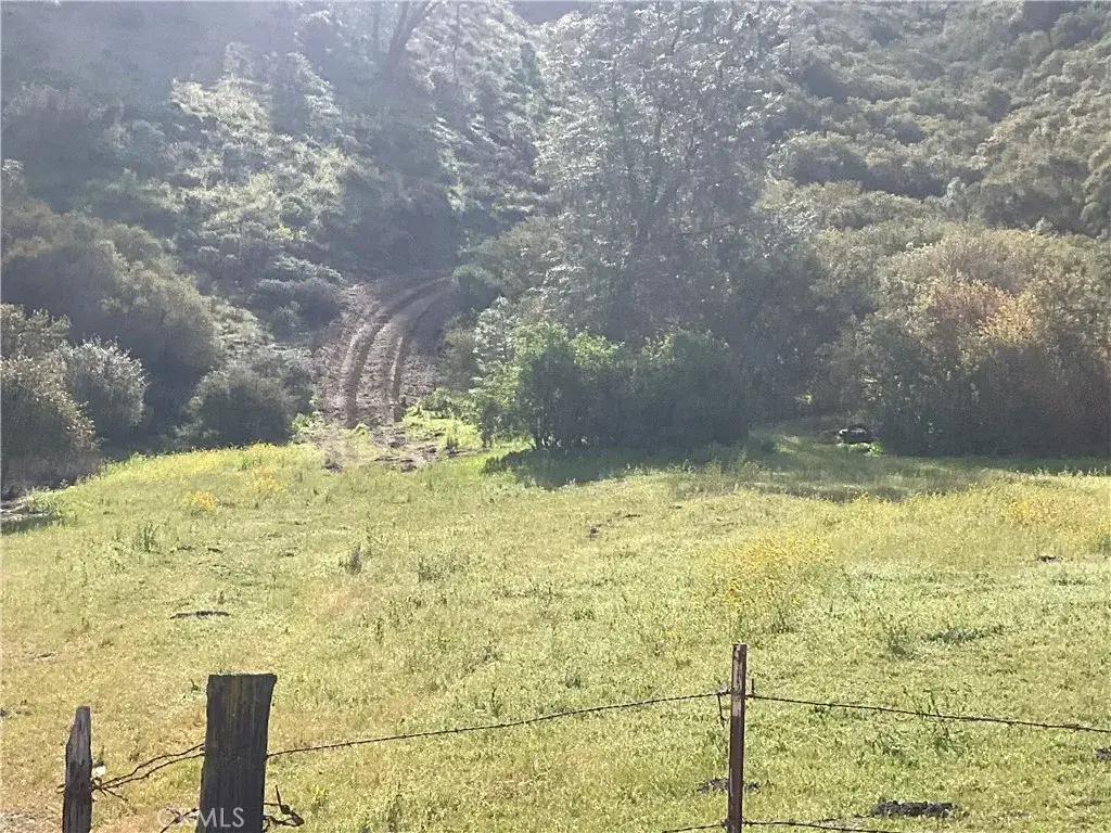 64031 Lockwood San Lucas, Lockwood, CA 93426 - #1