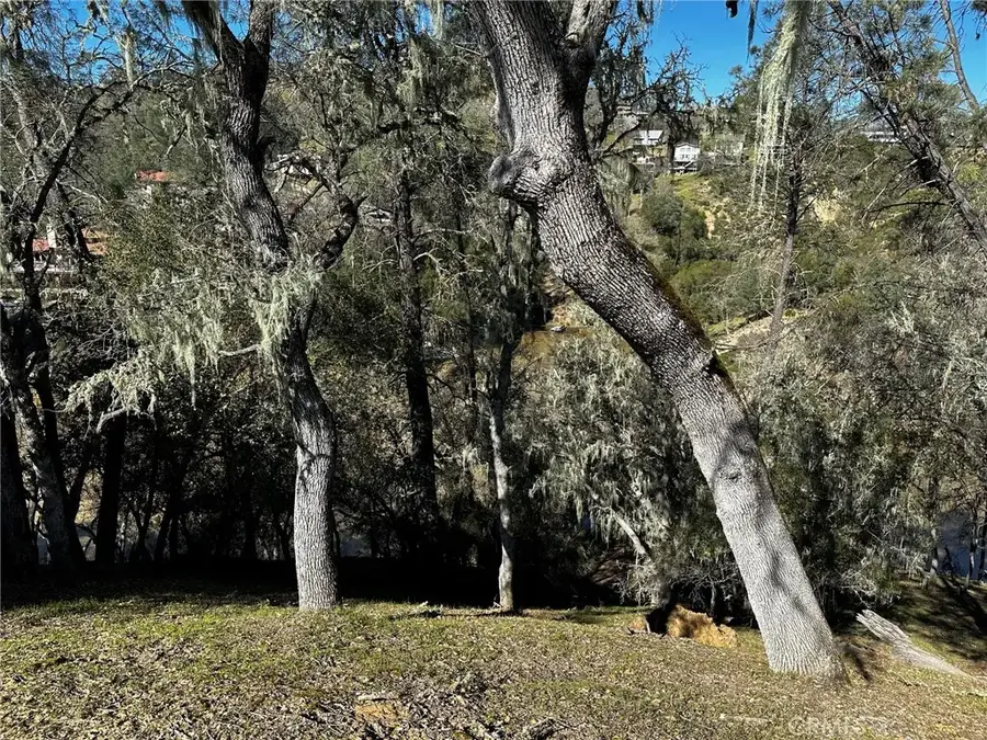 8209 Woody Point, Bradley, CA 93426 - Image #3