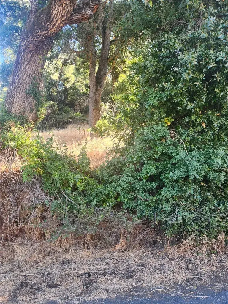 4010 Foothill, Lucerne, CA 95458 - Image #2