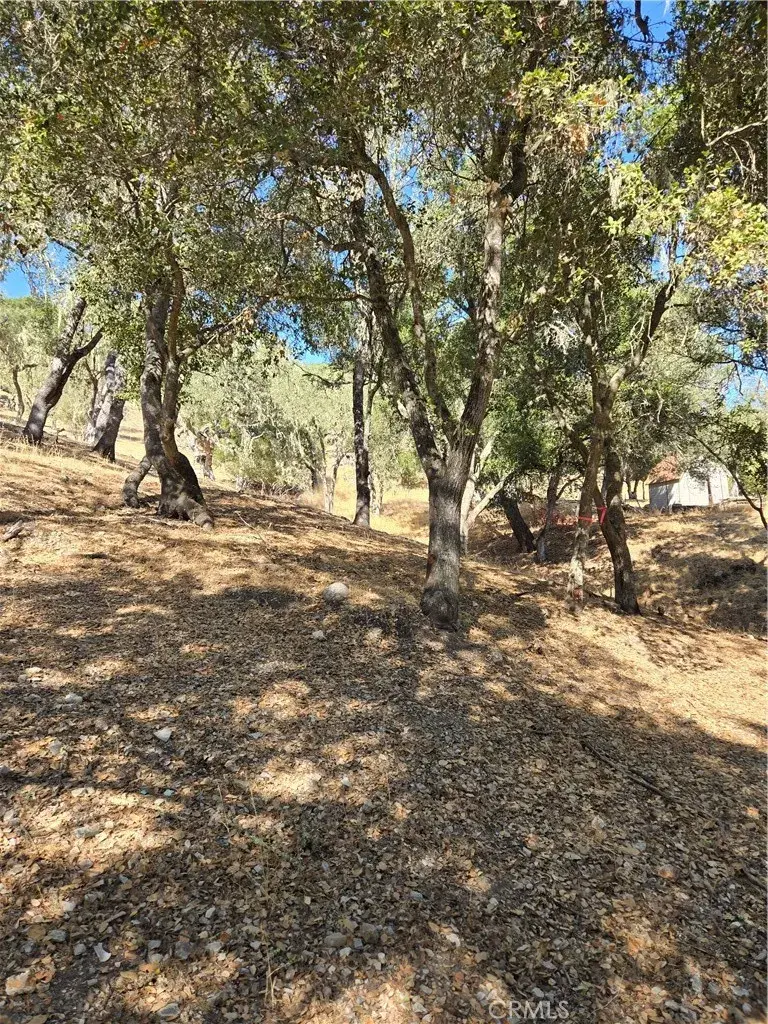 6525 Navarette, Atascadero, CA 93422 - Image #3