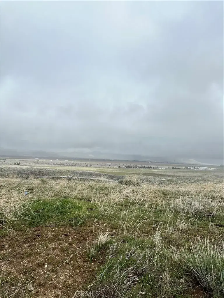 0 Dotty, Tehachapi, CA 93561 - #3