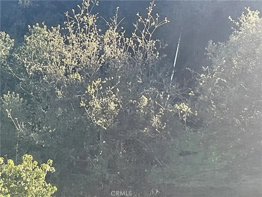 67034 Paulsen, Lockwood, CA 93932 - #2