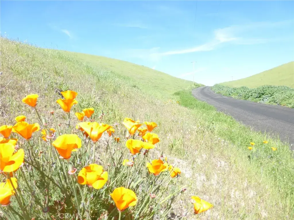 0 Douglas Rd. (lot 28), San Miguel, CA 93451 - #1
