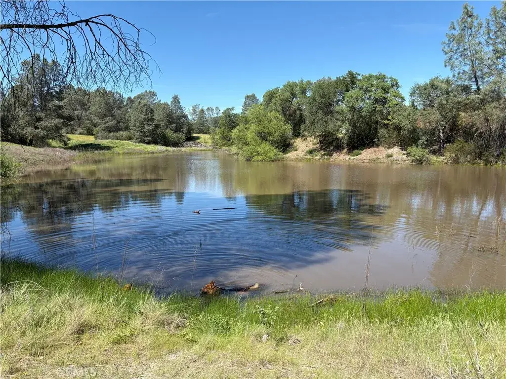 705 Calf Canyon, Creston, CA 93432 - #1