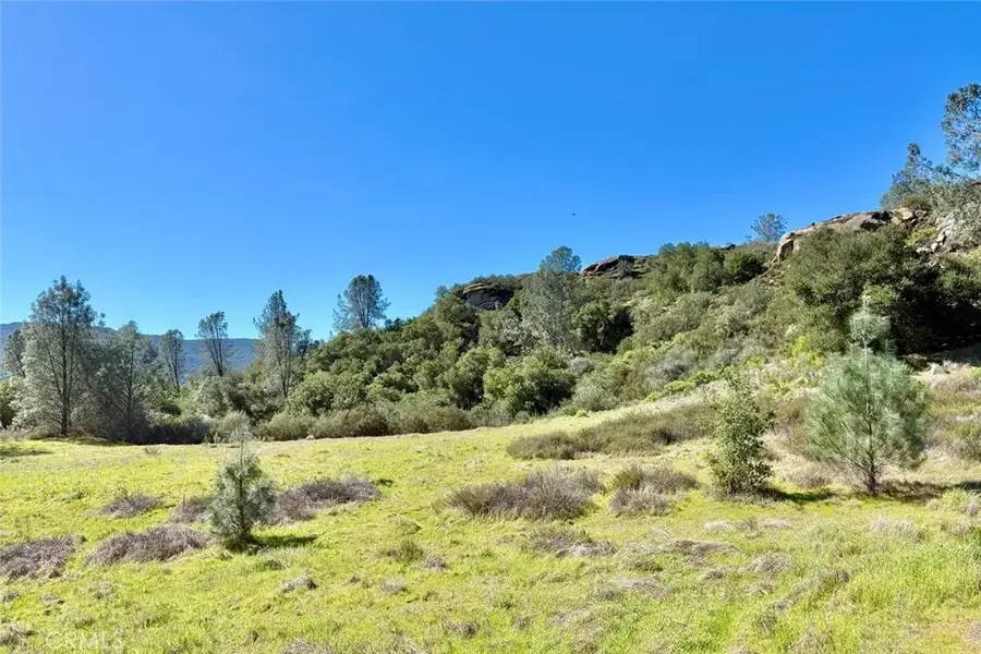 75370 Turkey, Bradley, CA 93426 - #2