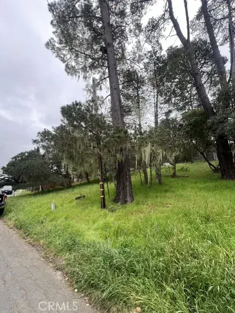 0 Mills, Cambria, CA 93428 - #2