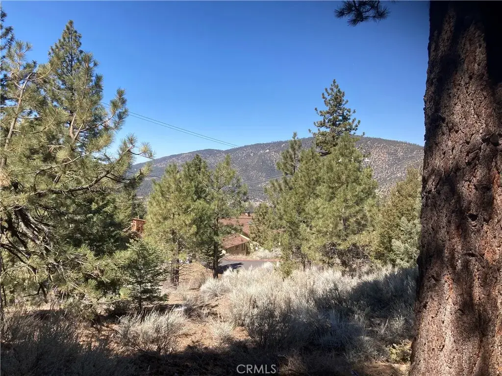 15125 Chestnut, Pine Mountain Club, CA 93222 - #1