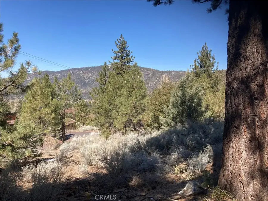 15125 Chestnut, Pine Mountain Club, CA 93222 - #3