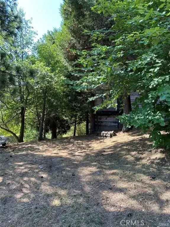 0 Pine, Cedarpines Park, CA 92322 - #1