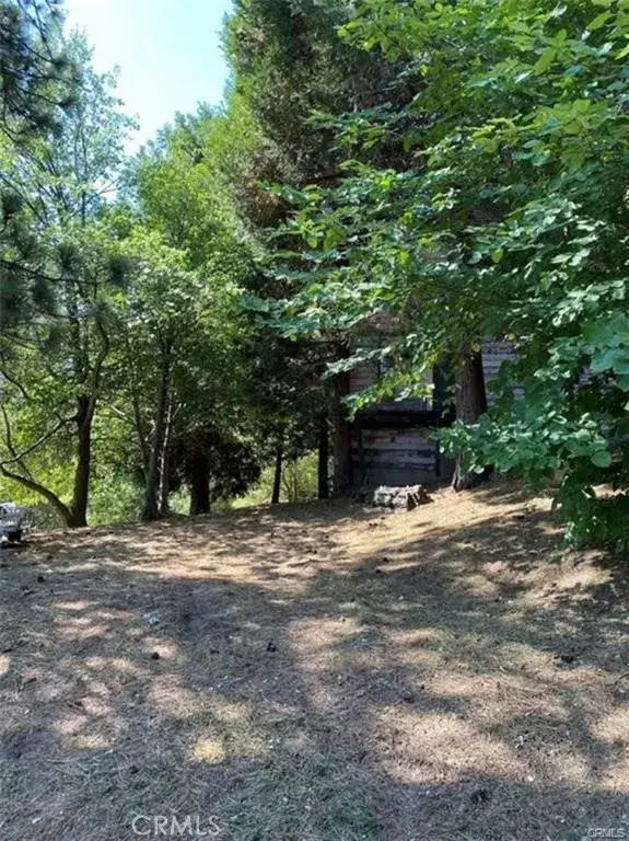 0 Pine, Cedarpines Park, CA 92322