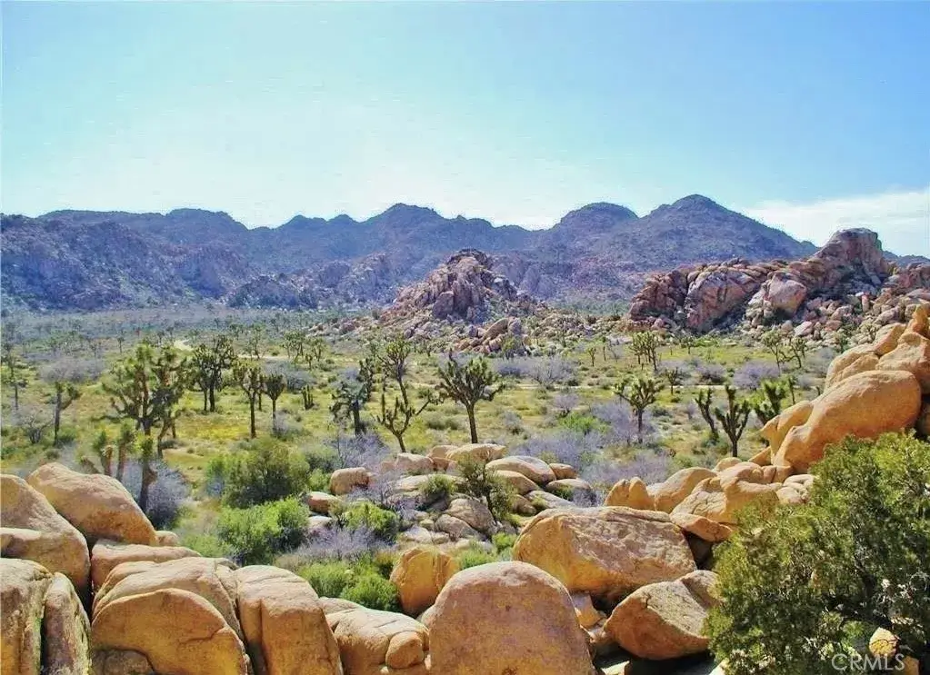 61936 El Reposo, Joshua Tree, CA 92252 - #1