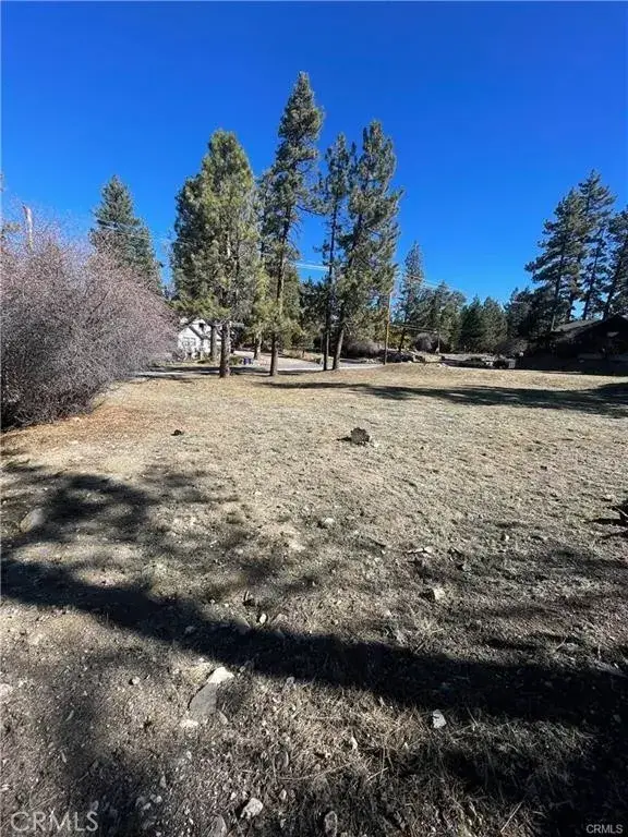 40063 Big Bear, Big Bear Lake, CA 92315 - #2