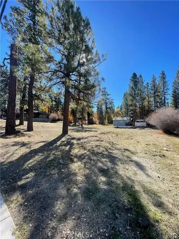 40063 Big Bear, Big Bear Lake, CA 92315 - #3