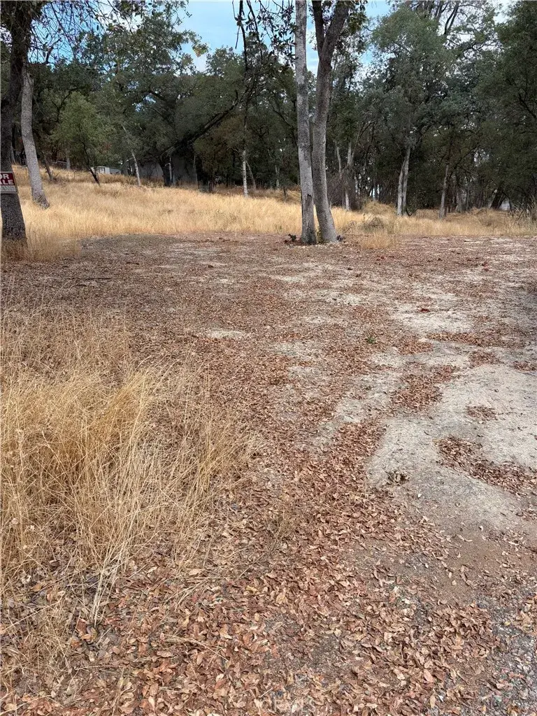 3885 Rosey, Placerville, CA 95667 - #2