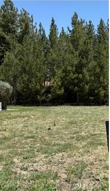0 Pinto Court, Big Bear Lake, CA 92315 - Image #3