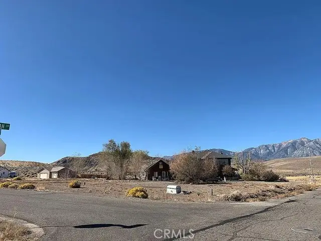 1899 Wiseman, Ruhenstroth, NV 89410 - Image #3
