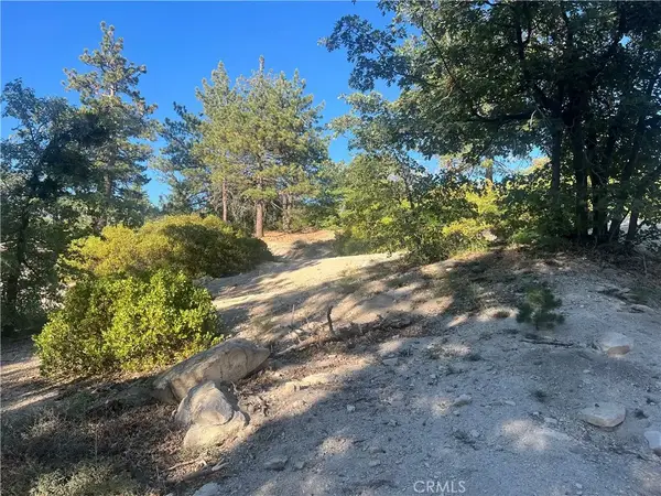 0 Deer Lick, Arrowbear, CA 92382