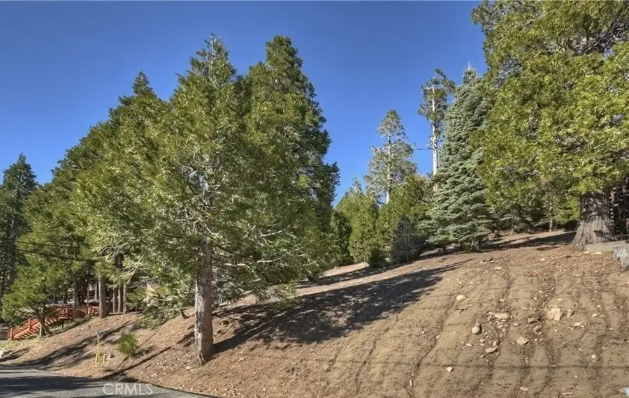 2402 Spring Oak, Running Springs, CA 92382 - #3