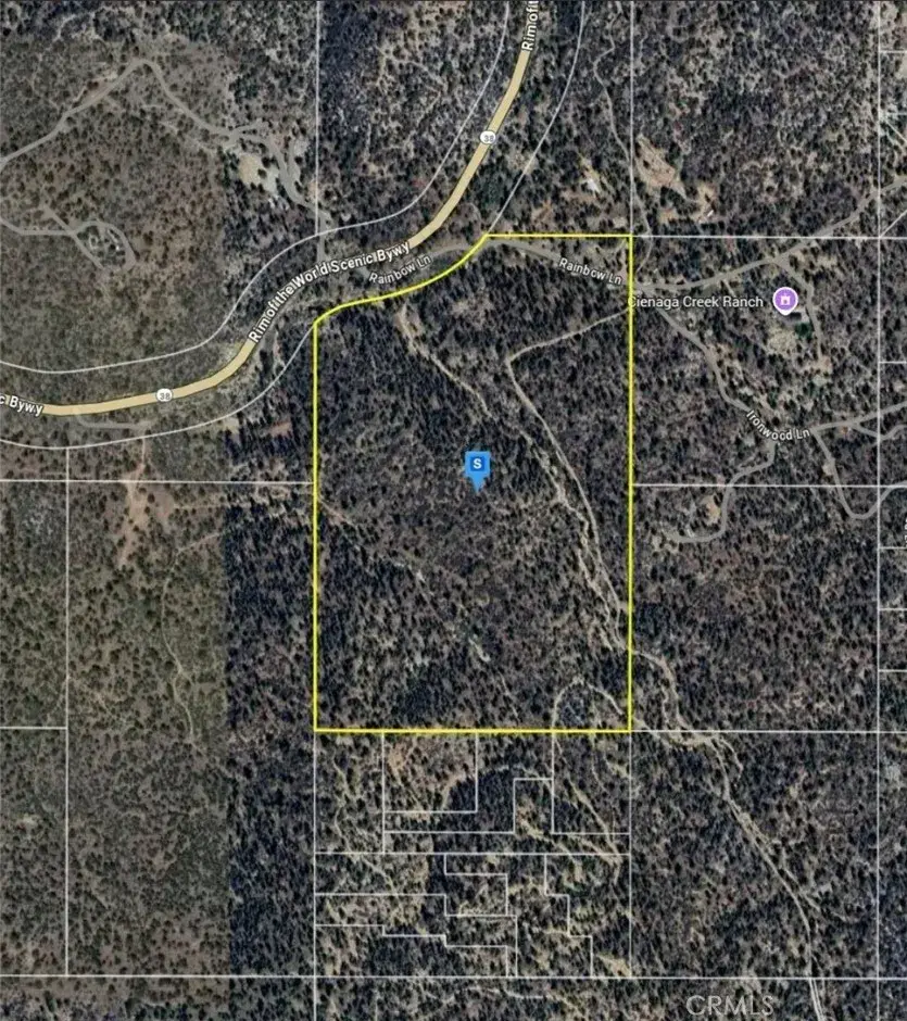 0 Highway 38, Angelus Oaks, CA 92305 - #1