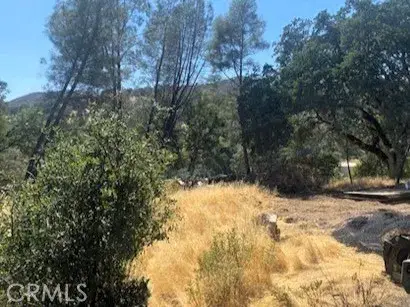 3353 Wolf Creek, Clearlake Oaks, CA 95423 - Image #2