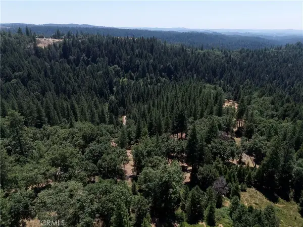 0 Slalom, Pollock Pines, CA 95726