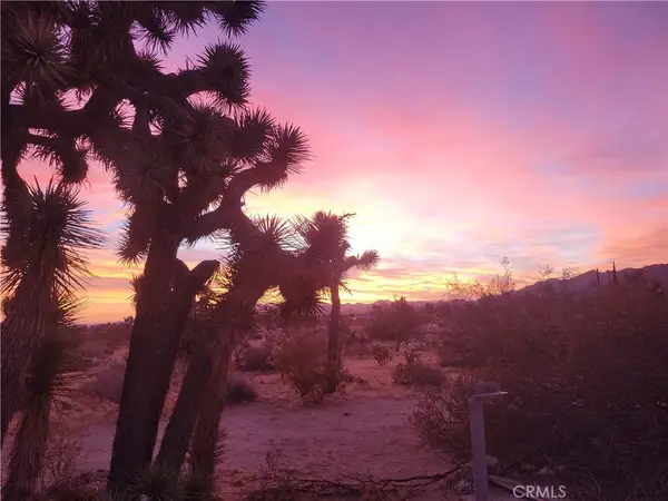 39625 Buena Vista, Morongo Valley, CA 92256