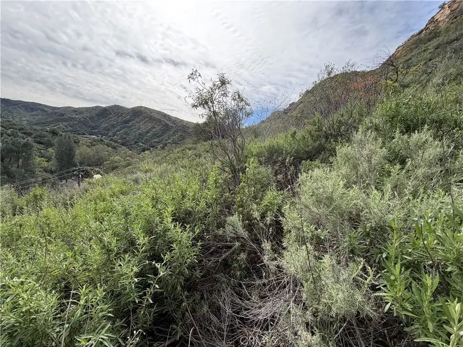 0 Ladd Canyon, Silverado, CA 92676 - #3