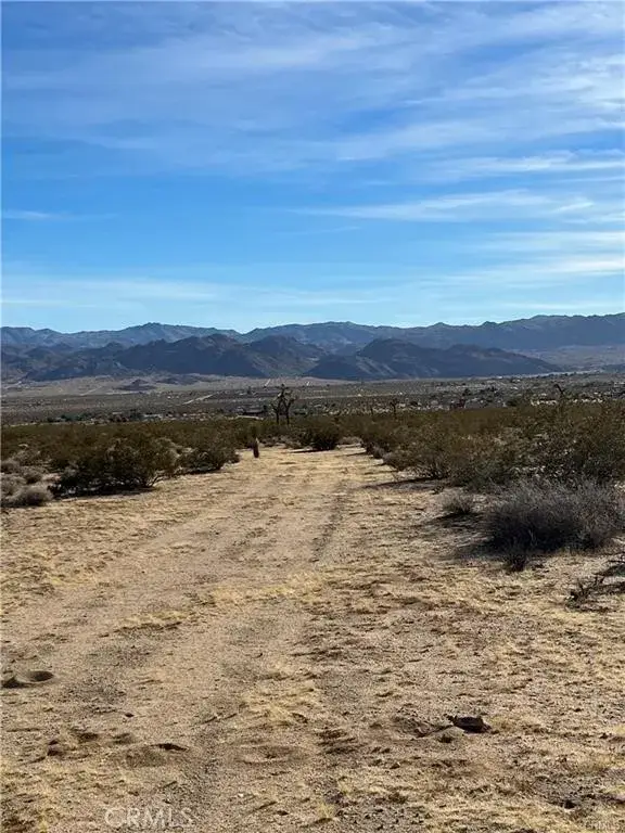 7 Bellflower, Joshua Tree, CA 92252 - Image #3