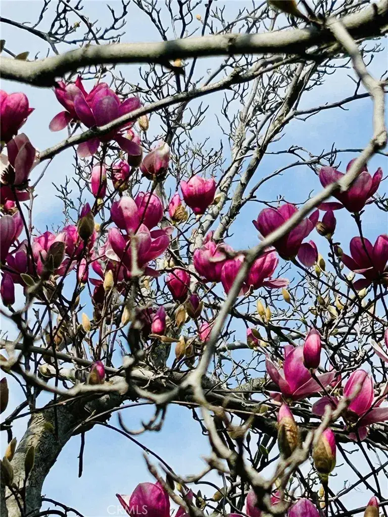 4906 Shadow Stone Drive, Bakersfield, CA 93313 - #2