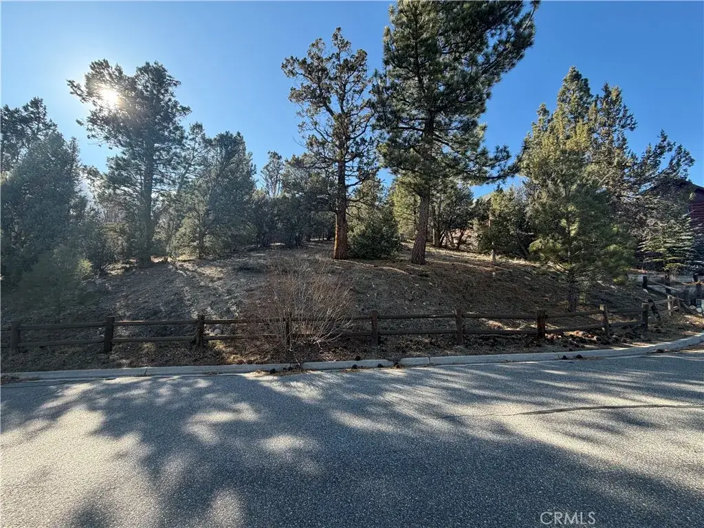 248 Echo Hill, Big Bear Lake, CA 92315 - #1