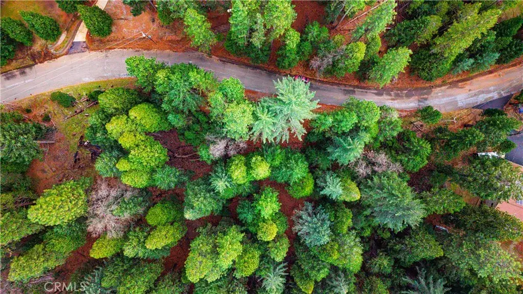 5435 Pine Ridge, Grizzly Flats, CA 95636 - #1