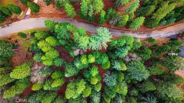 5435 Pine Ridge, Grizzly Flats, CA 95636